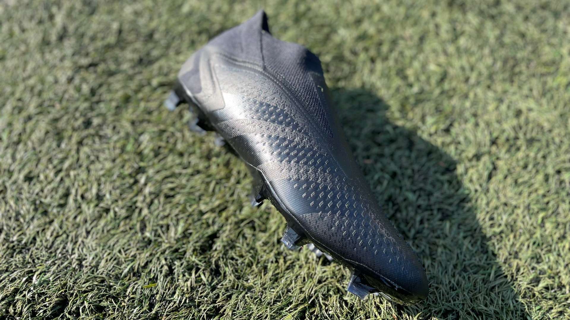 徽章而骄傲 徽章而骄傲