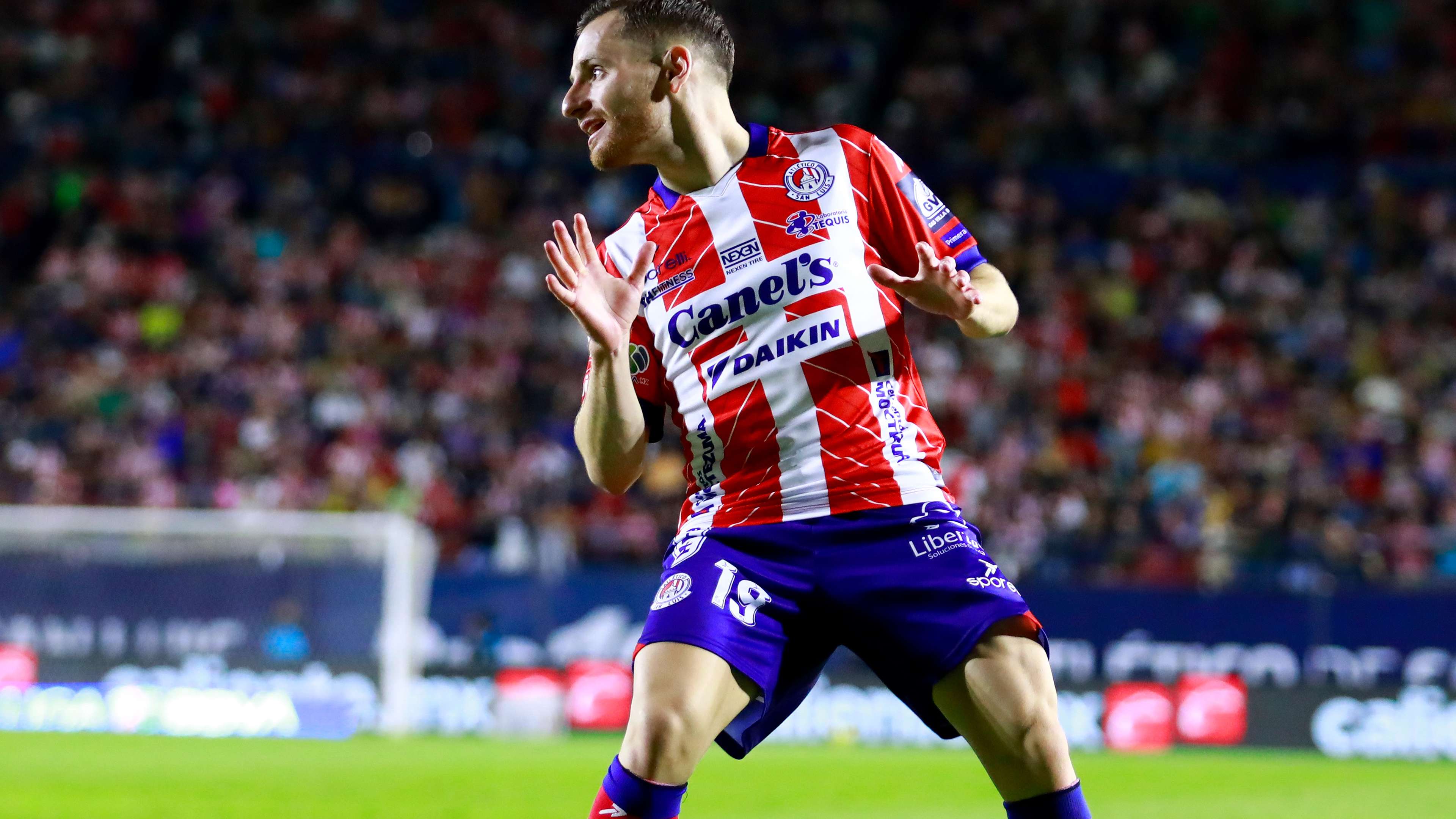 他在德甲联 他在德甲联